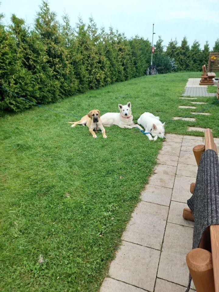 Domki Pod Brzozami Sarbinowo Dış mekan fotoğraf