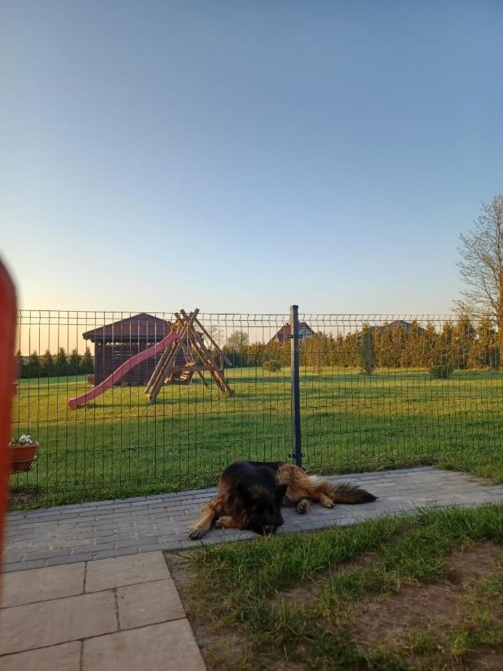 Domki Pod Brzozami Sarbinowo Dış mekan fotoğraf
