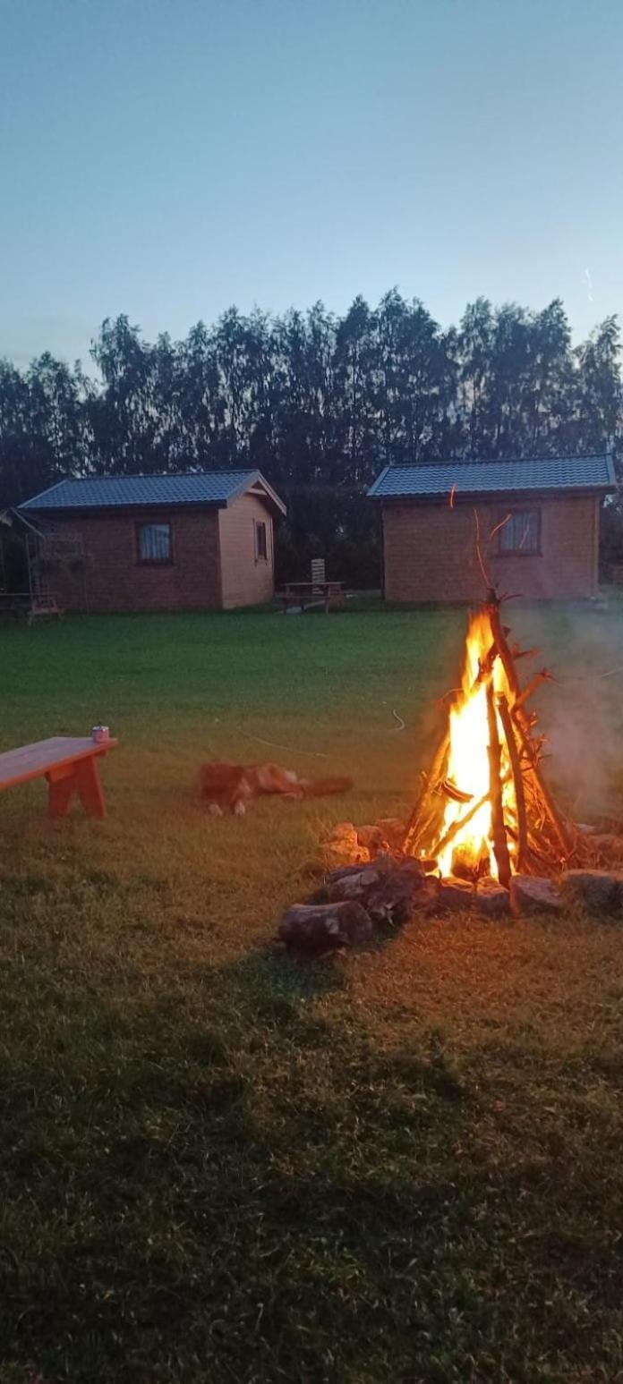 Domki Pod Brzozami Sarbinowo Dış mekan fotoğraf